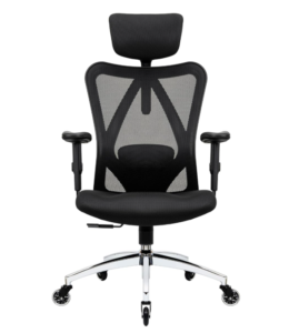 Duramont ergonomic office chair adjustable lumbar support mesh chair