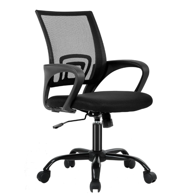ergonomic office chair for back pain home office setup